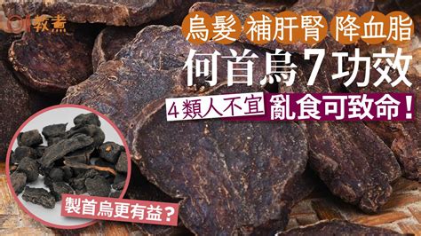 何首烏 功效|何首烏：全面了解及其食用禁忌、功能和方法 – 杏壇中。